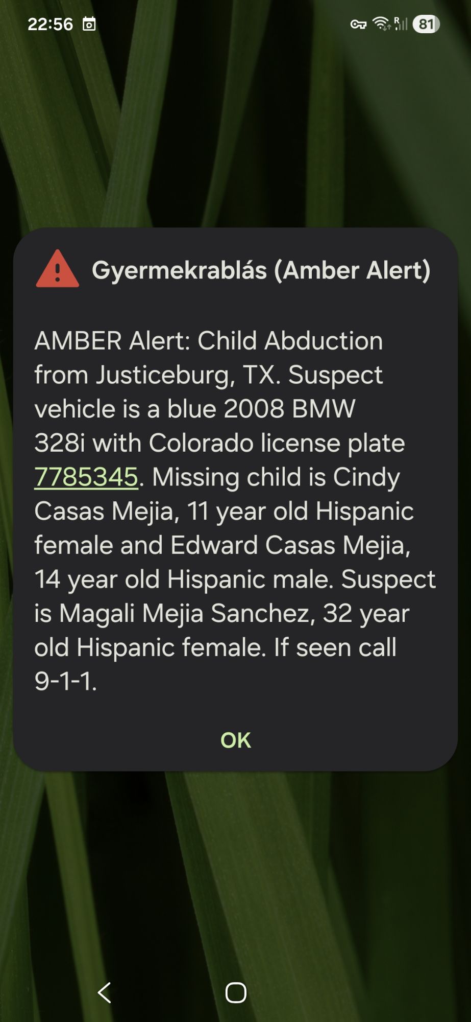 Körözés, elkapás